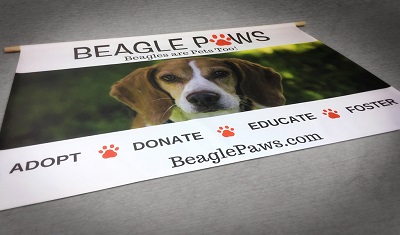 Metro Signs Work Samples - Beagle Paws